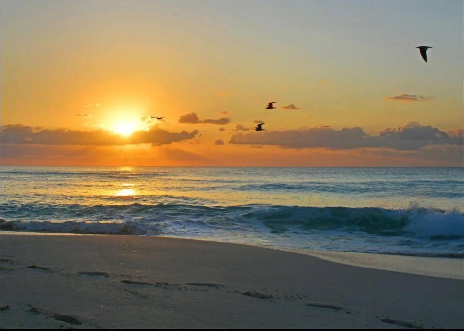 Amazing Beachfront Apartment Cancun Luaran gambar